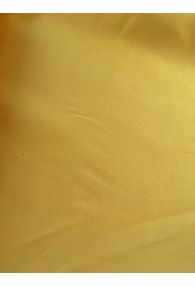 Mangue Silk Duchesse Satin 100% Silk Guillaud made in France